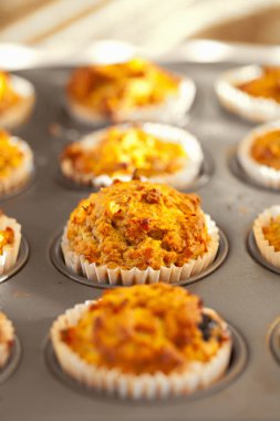 Muffins with carrot and blueberry freshly baked in tray, shallo clipart