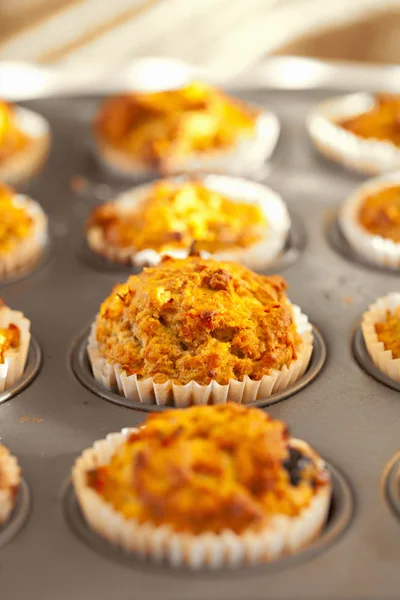 Muffin con carota e mirtillo appena sfornati in vassoio, shallo — Foto Stock