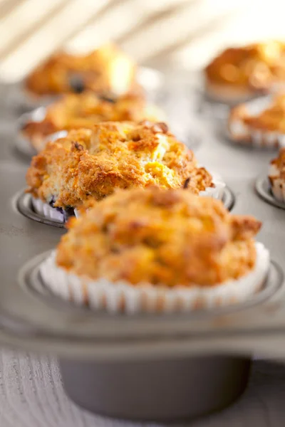 Muffins with carrot and blueberry freshly baked in tray — Stock Photo, Image