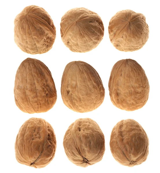 stock image Three walnuts in diferrent views, over white