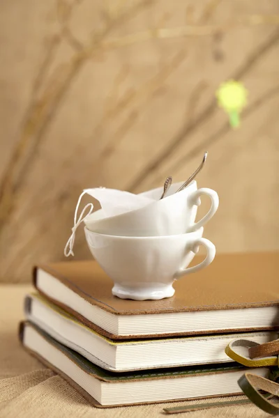 Spring tea breake, tea cups with diaries and twigs, — Stock Photo, Image