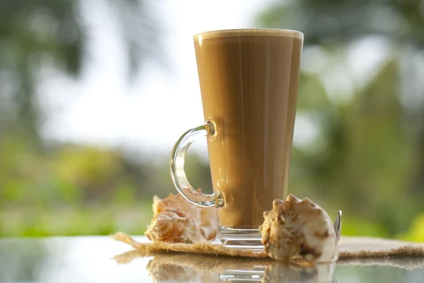 Кофе латте с морской раковиной, пальмовый фон, теплый свет — стоковое фото