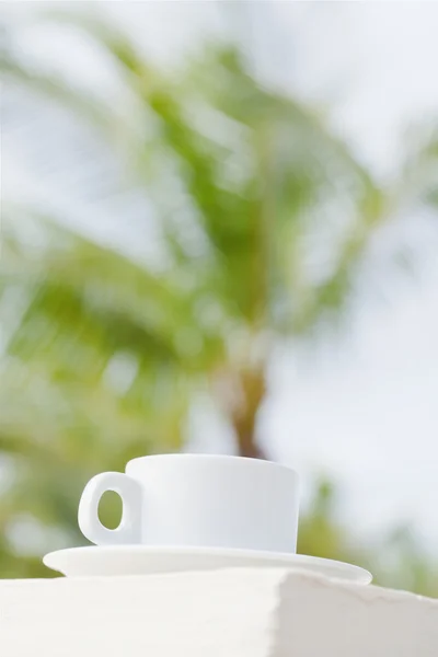 Wihte coffee cup against palm tree background — Stock Photo, Image