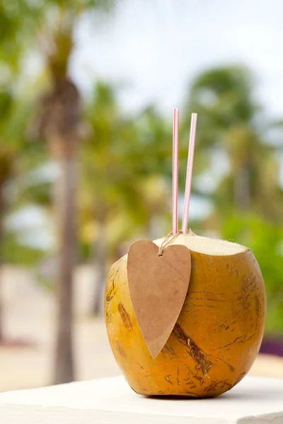 Drinking coconut with cocktail straws and paper heart — Stock Photo, Image