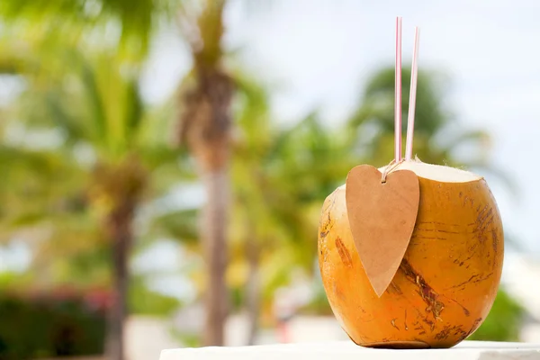 Kokosový koktejl příbalovou — Stock fotografie