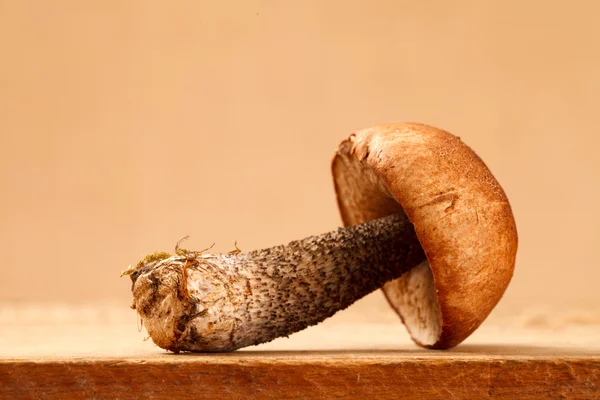 Oranžová čepice Hřib houby na dřevěné desce — Stock fotografie