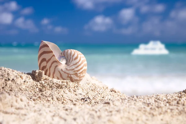 Nautilus shell op witte strand boot en blauw tropische zee — Stockfoto
