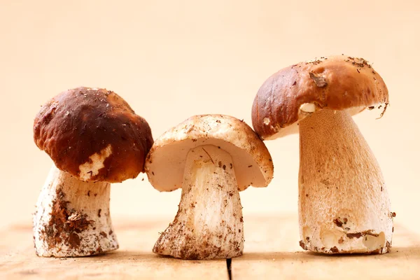 Три гриби, що стоять на дерев'яній дошці — стокове фото