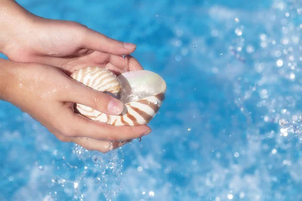 Mädchenhände halten eine mit Wasser gefüllte Nautilus-Schale gegen tiefe Wellen — Stockfoto