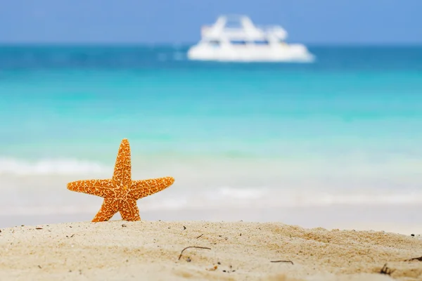 Sjöstjärna på stranden, blå havet och vit båt — Stockfoto