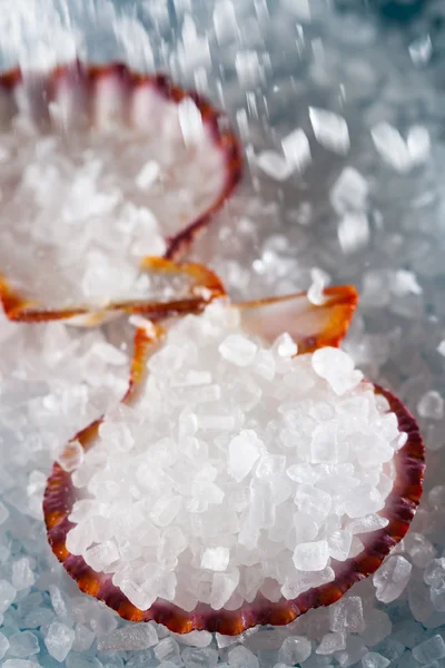 Versare il sale marino in una conchiglia su fondo salato — Foto Stock