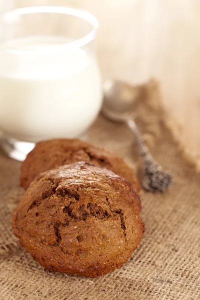 Soft ginger cookie with glass of milk — Stock Photo, Image