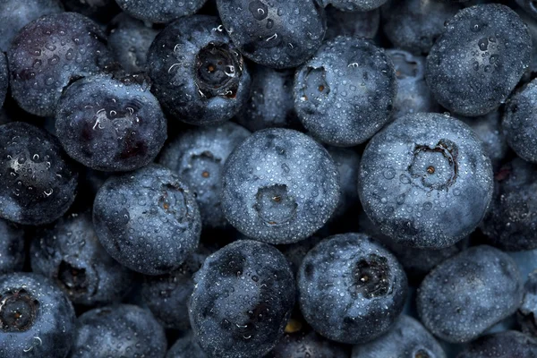 stock image Blueberry watered background