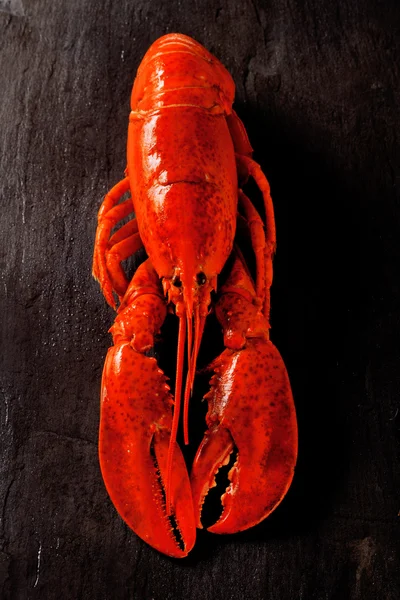 Gotowane homara na czarny stół łupków — Zdjęcie stockowe