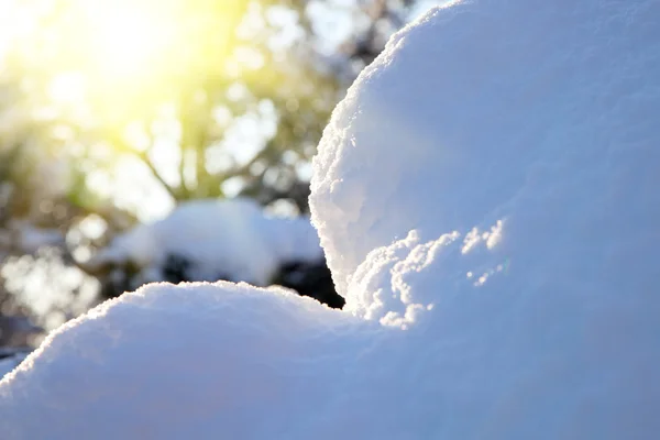 Cumulo di neve blu in una foresta con raggio di sole — Foto Stock