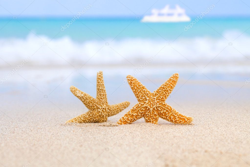 Two starfish on beach, blue sea and white boat