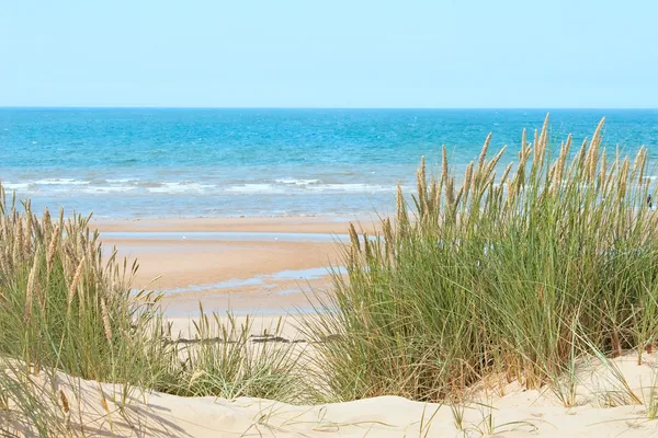 Zand strand in formby, Verenigd Koninkrijk — Stockfoto