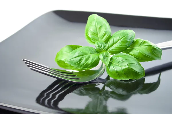 Set di foglie di basilico con forchetta su piatto — Foto Stock