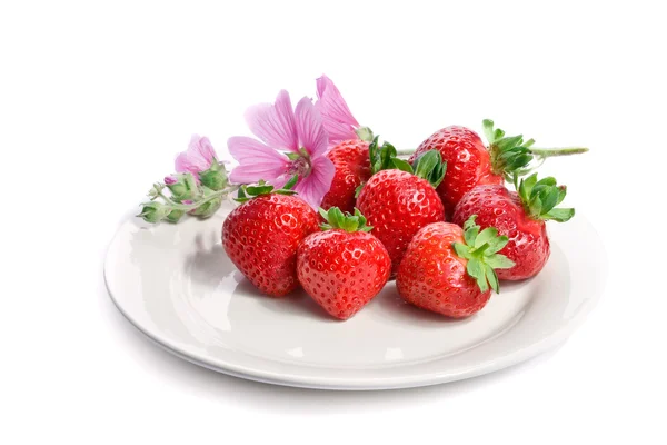 Căpșuni pe o farfurie decorată, izolată pe alb — Fotografie, imagine de stoc