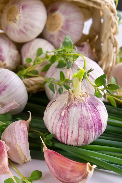 Stock image Garlic in a basket