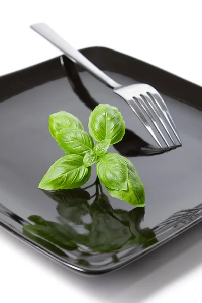 Summer diet: basil leaves on a black plate — Stock Photo, Image