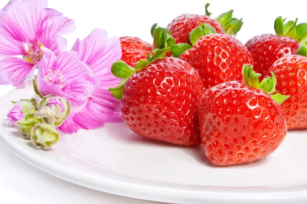 Strawberry di piring dihiasi dengan bunga malva — Stok Foto