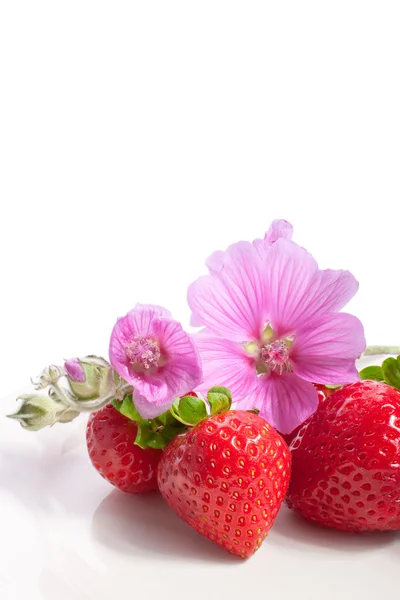 Căpșuni pe o farfurie decorată cu flori de malvă — Fotografie, imagine de stoc