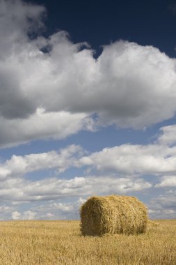 Agriculture - Haystack clipart