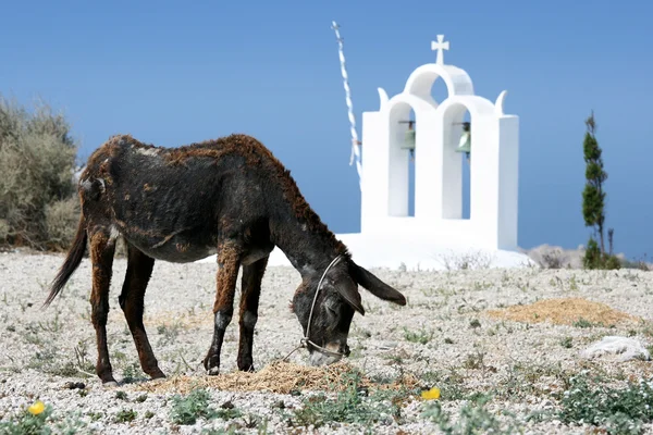 Typische Ansicht von Santorini — Stockfoto