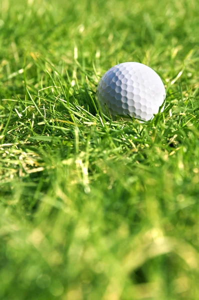 Pelota de golf —  Fotos de Stock