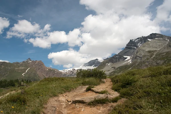 Bergen van de Alpen — Stockfoto