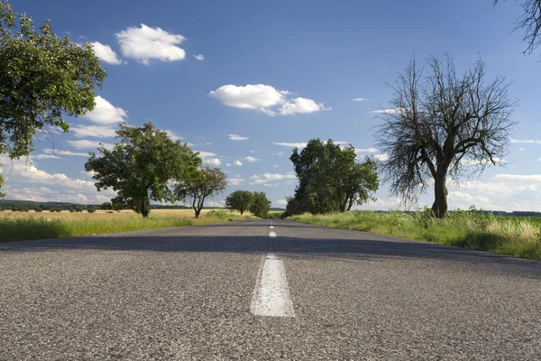 stock image Road