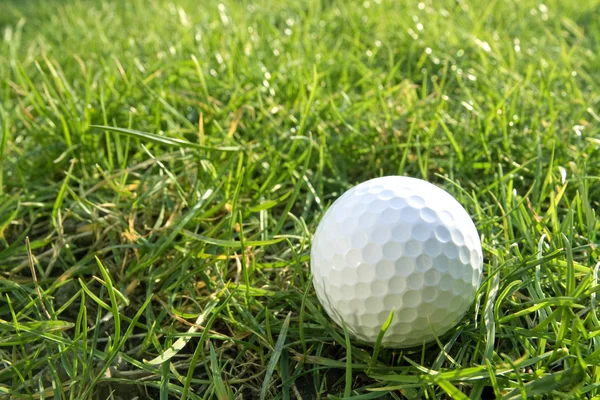 Pelota de golf — Foto de Stock