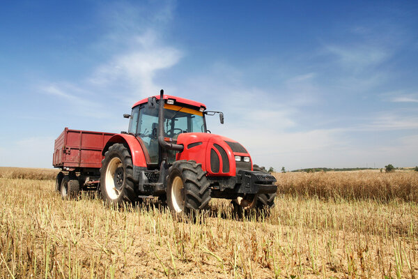 Сельское хозяйство