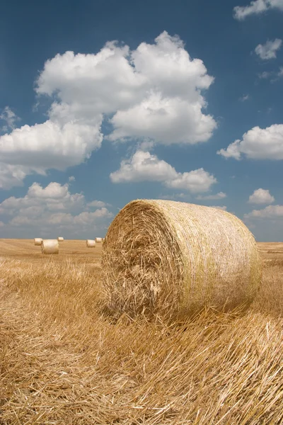 Agricultura - Haystack — Fotografia de Stock
