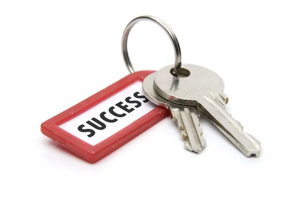 stock image Key to success