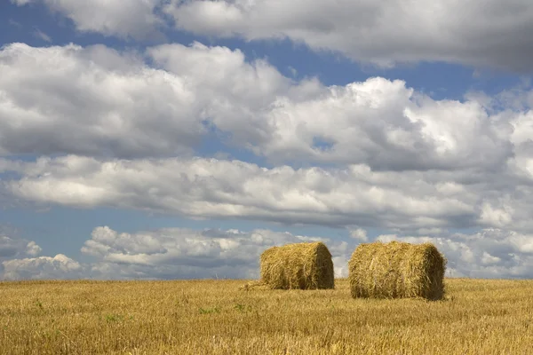 農業 - 干し草の山 — ストック写真