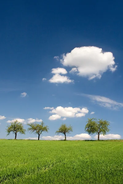 Blauer Himmel und grünes Land — Stockfoto