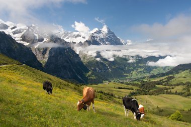 Alps in Switzerland clipart