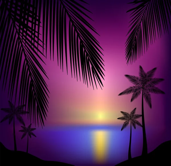 Beautiful tropical sunset beach — Stock Vector