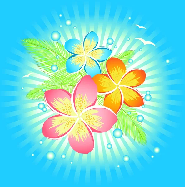 Λουλούδι Φραντζιπάνι — Διανυσματικό Αρχείο