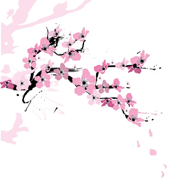벚꽃의 그림 — 스톡 벡터