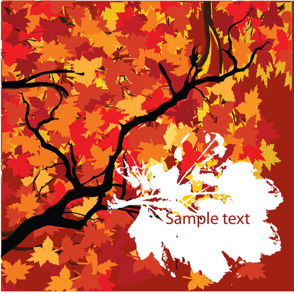vector image of autumn leaves