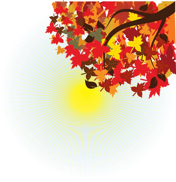 Осенние кленовые листья — стоковый вектор