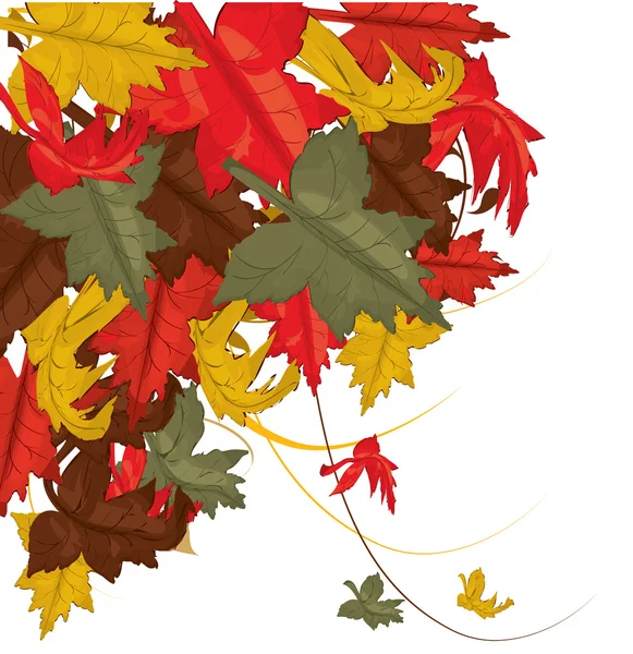 Őszi levelek, háttér — Stock Vector