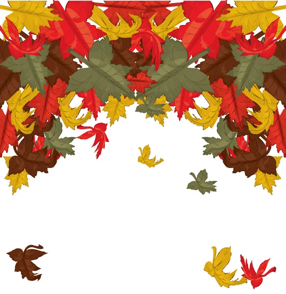 Autumn leaves, background — Stock Vector