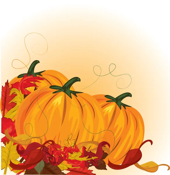 Őszi sütőtök és a színes levelek — Stock Vector