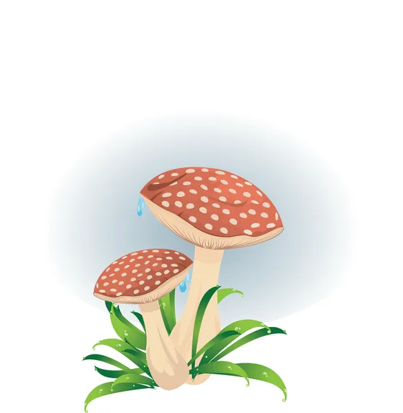 Rote Pilze — Stockvektor