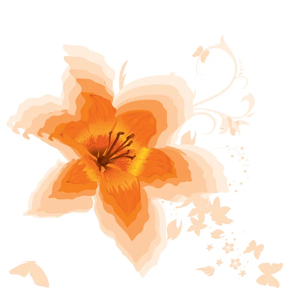Vackra orange Lilja. vektor. — Stock vektor