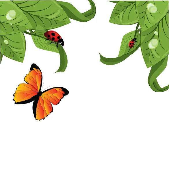 Ladybird on leaf, vector illustration, — Stock Vector